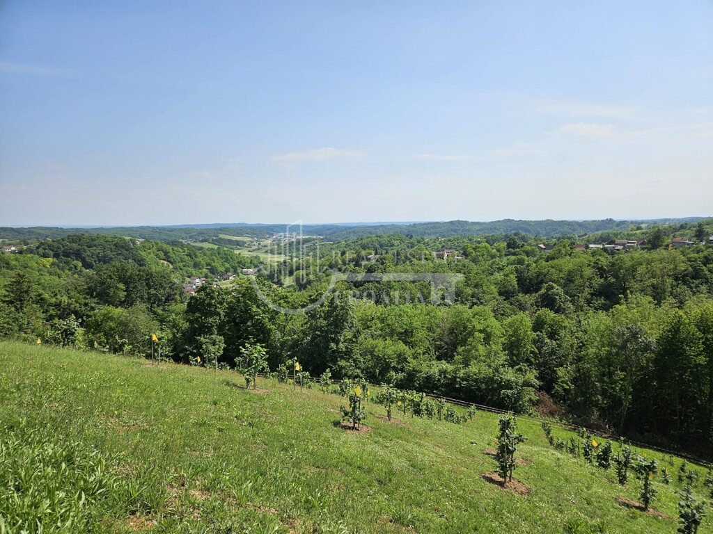 Image 6357009 - 33