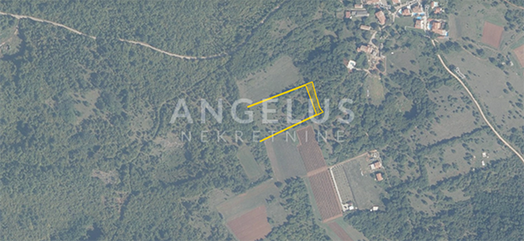 Image 6357027 - 2