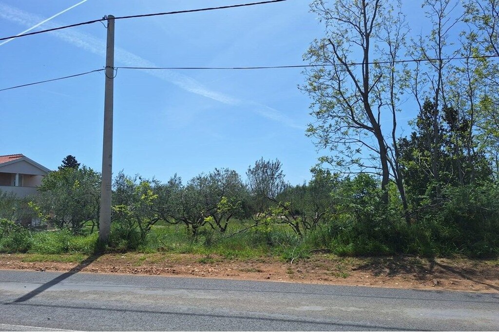 Image 6357040 - 3