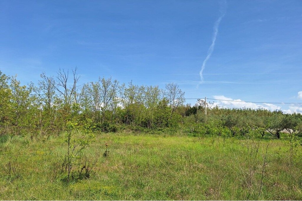 Image 6357040 - 2