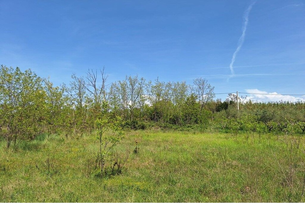 Image 6357040 - 6