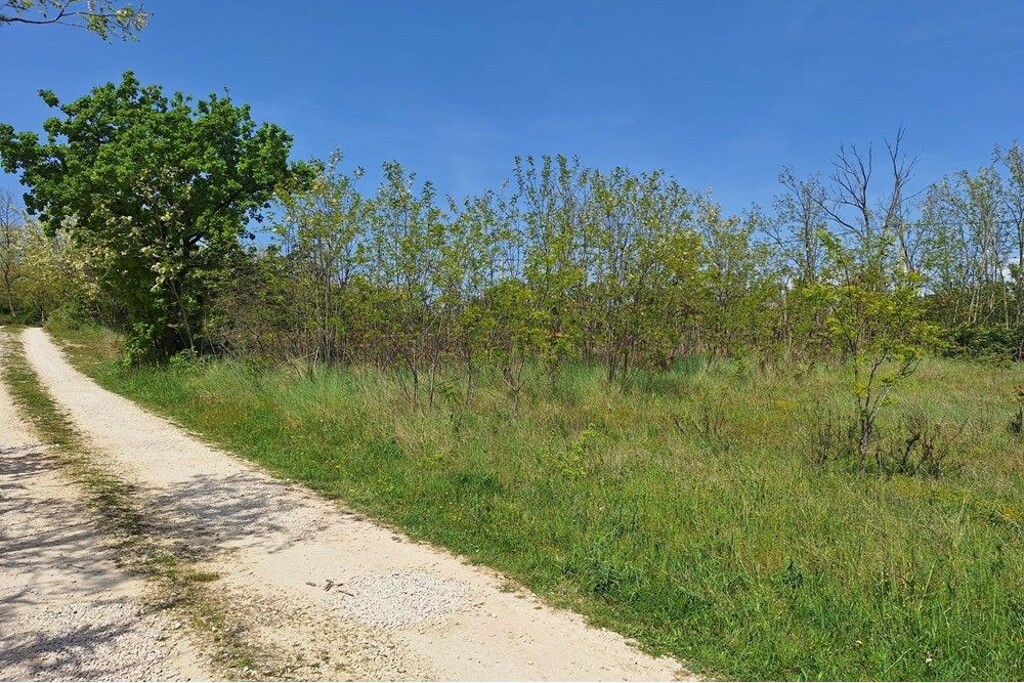 Image 6357040 - 1
