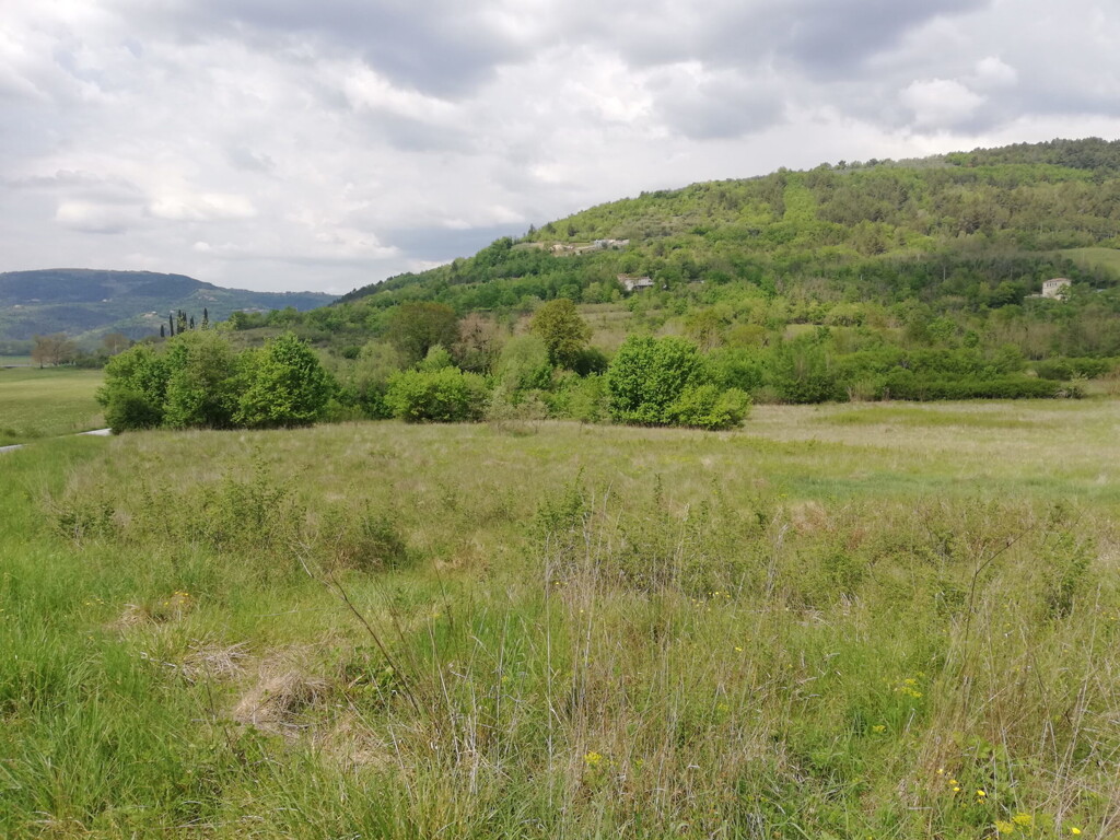 Image 6357046 - 9