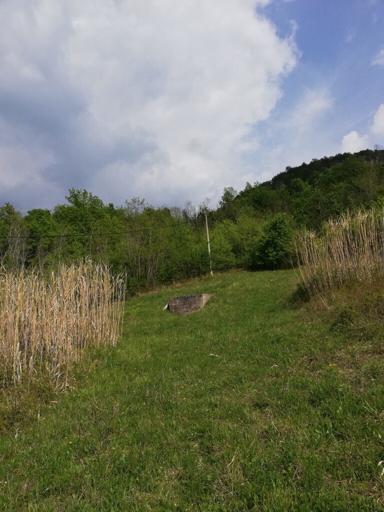 Image 6357046 - 11