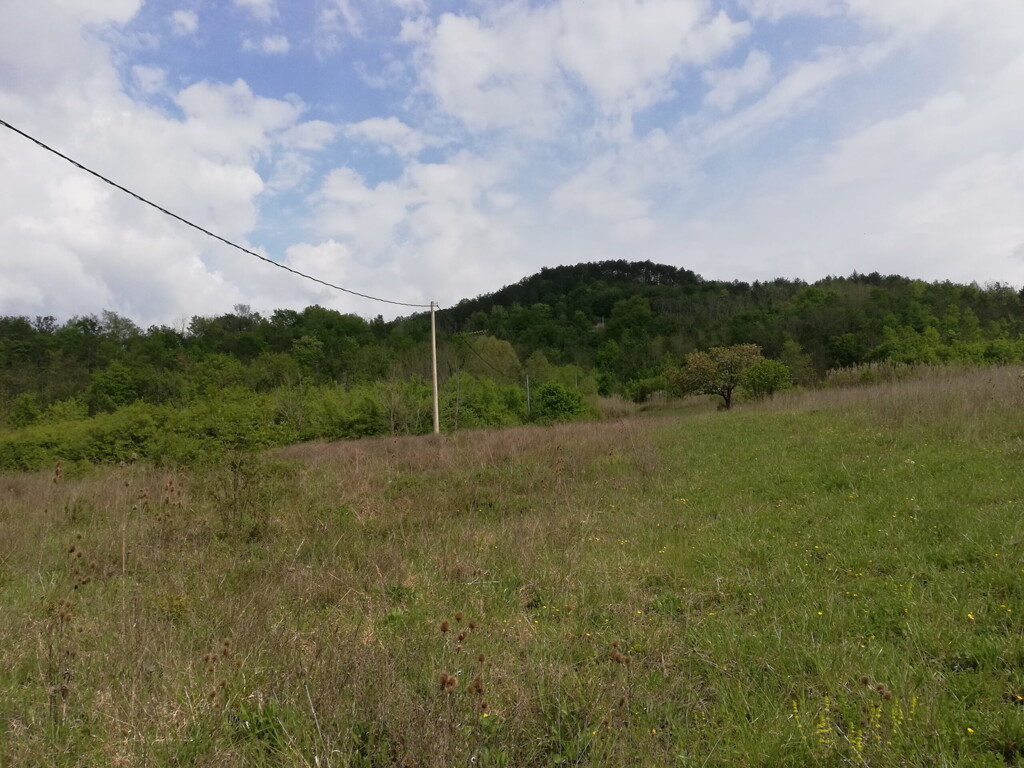 Image 6357046 - 4