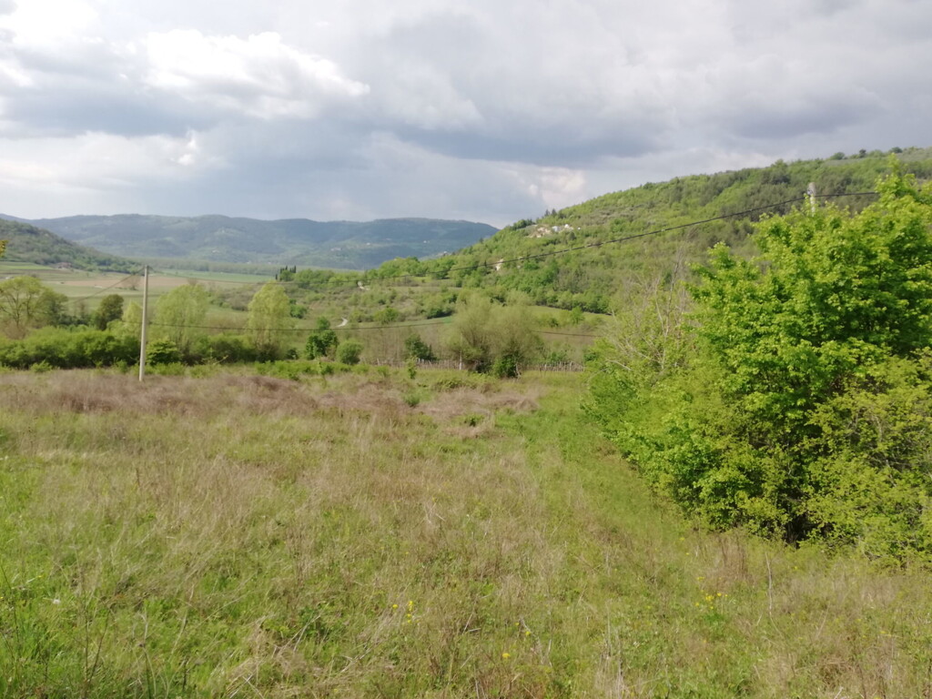 Image 6357046 - 6