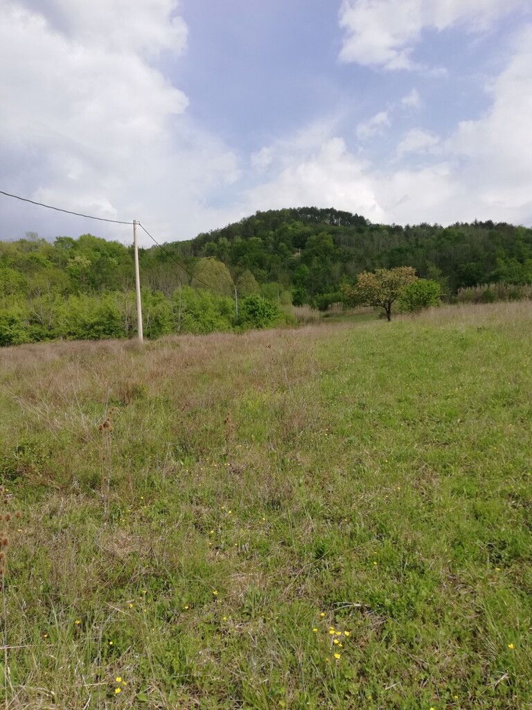 Image 6357046 - 3
