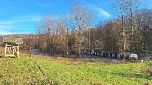 Thumbnail 6357063 - 8