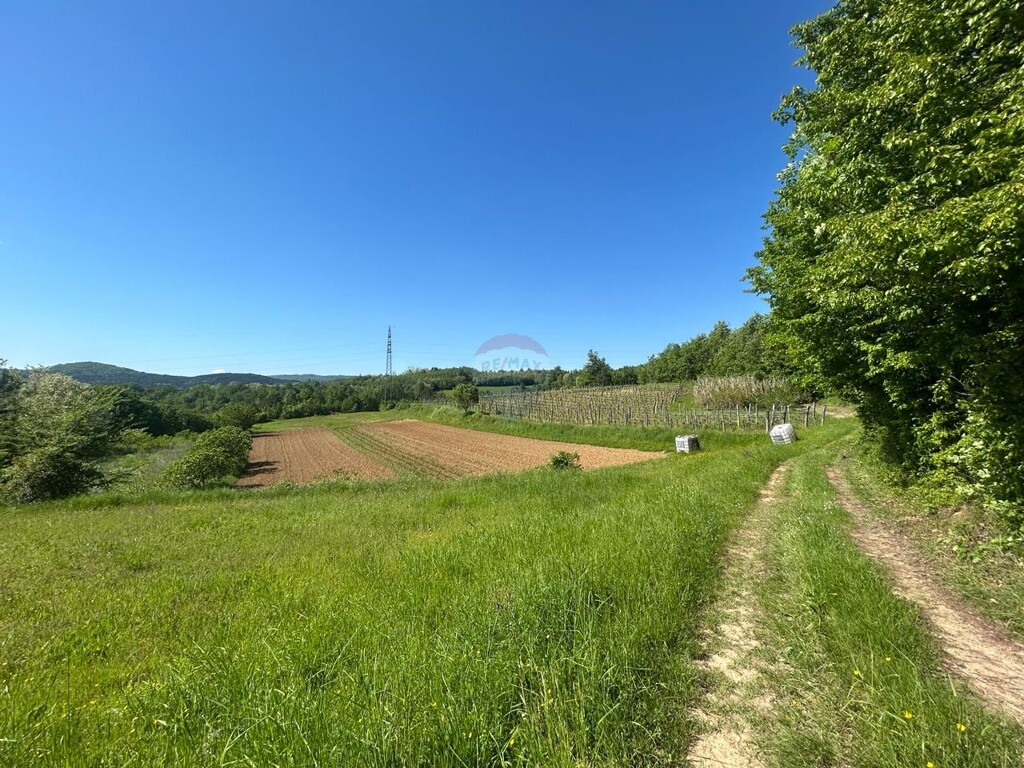 Image 6357077 - 4