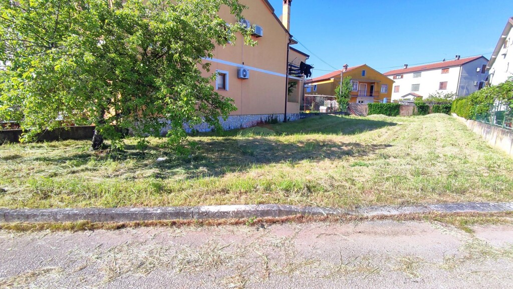 Image 6357080 - 2