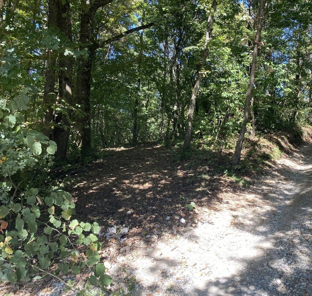 Image 6357236 - 3