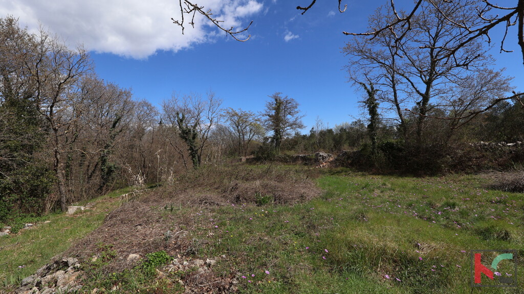 Image 6357506 - 3