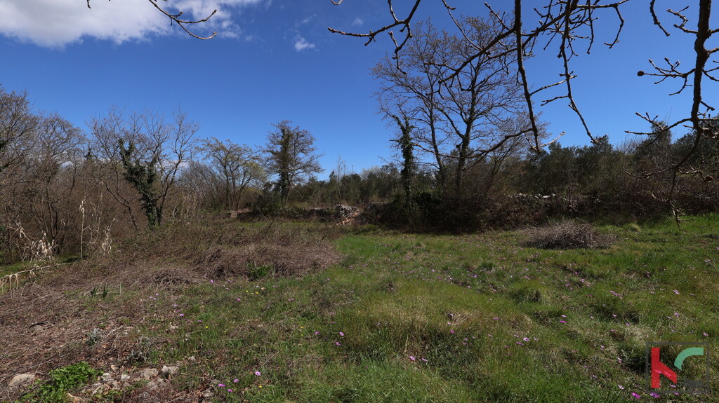 Image 6357506 - 2