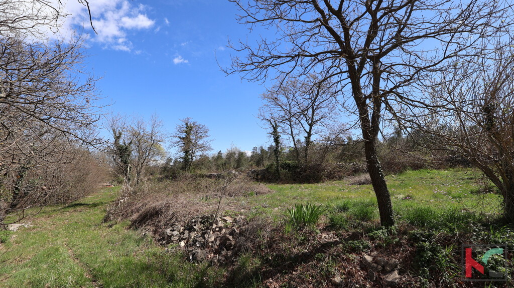 Image 6357506 - 4