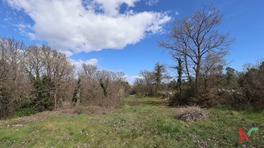 Image 6357506 - 1