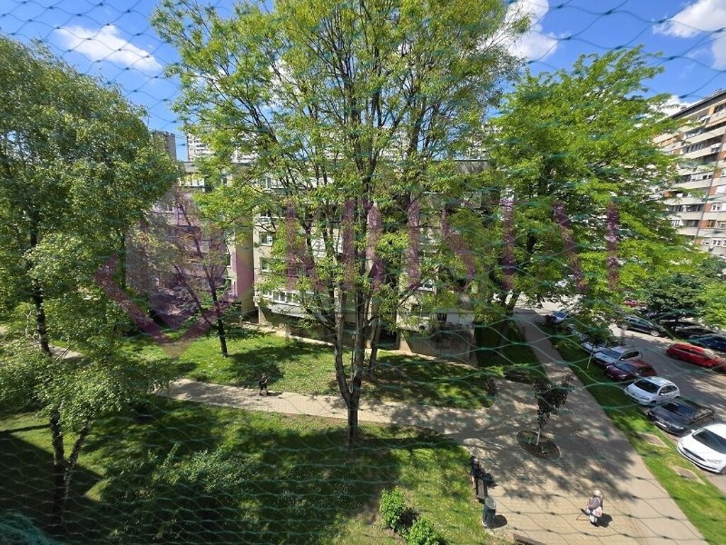 Image 6357589 - 19