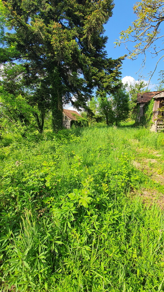 Image 6357660 - 2