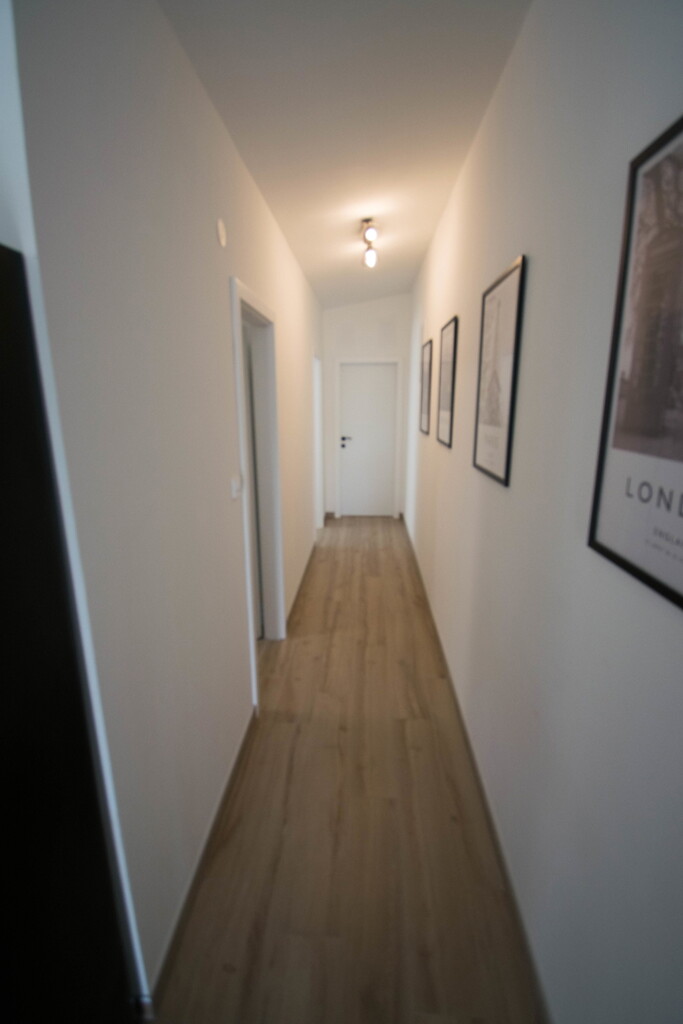 Image 6357668 - 7