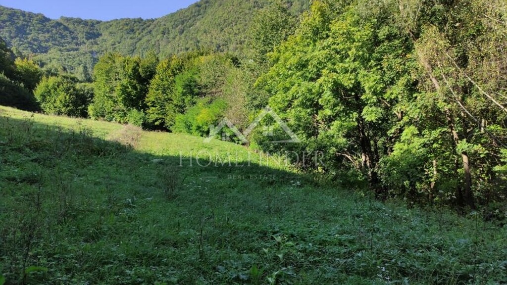Image 6357681 - 1