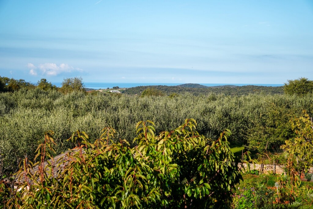 Image 6357708 - 11