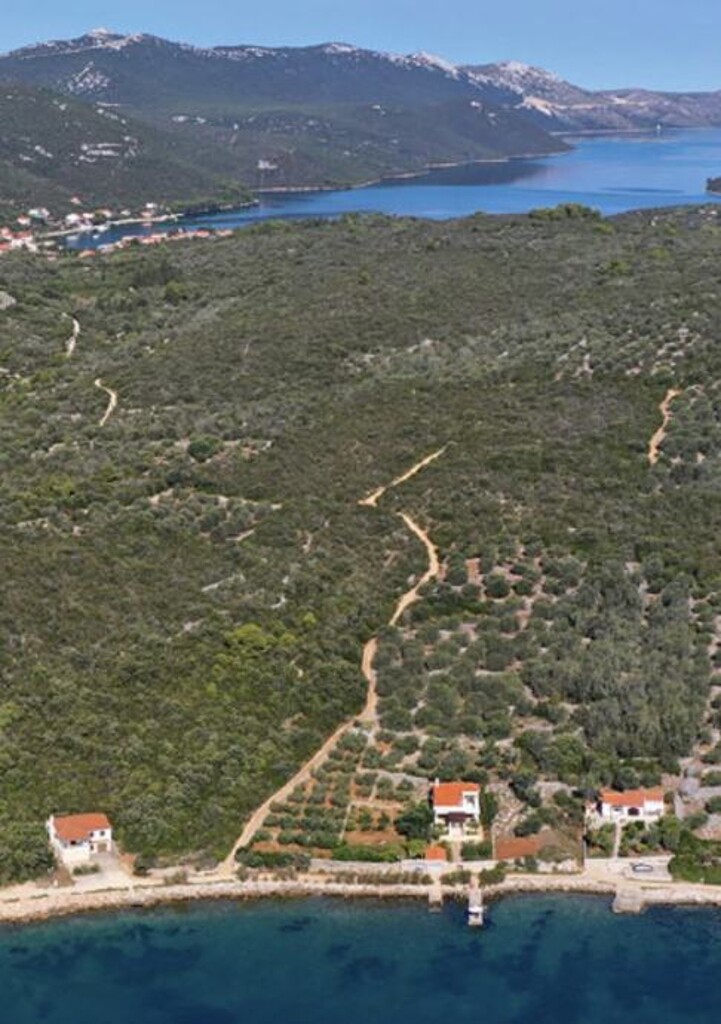 Image 6358040 - 1