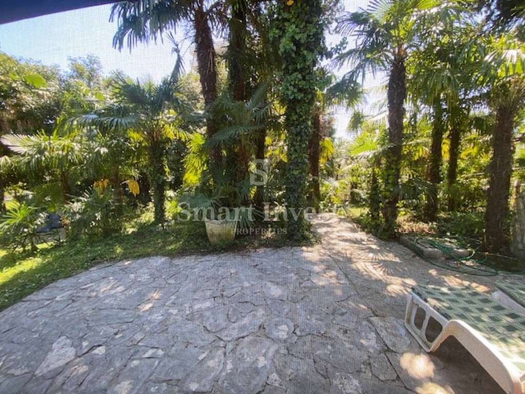 Image 6358078 - 2