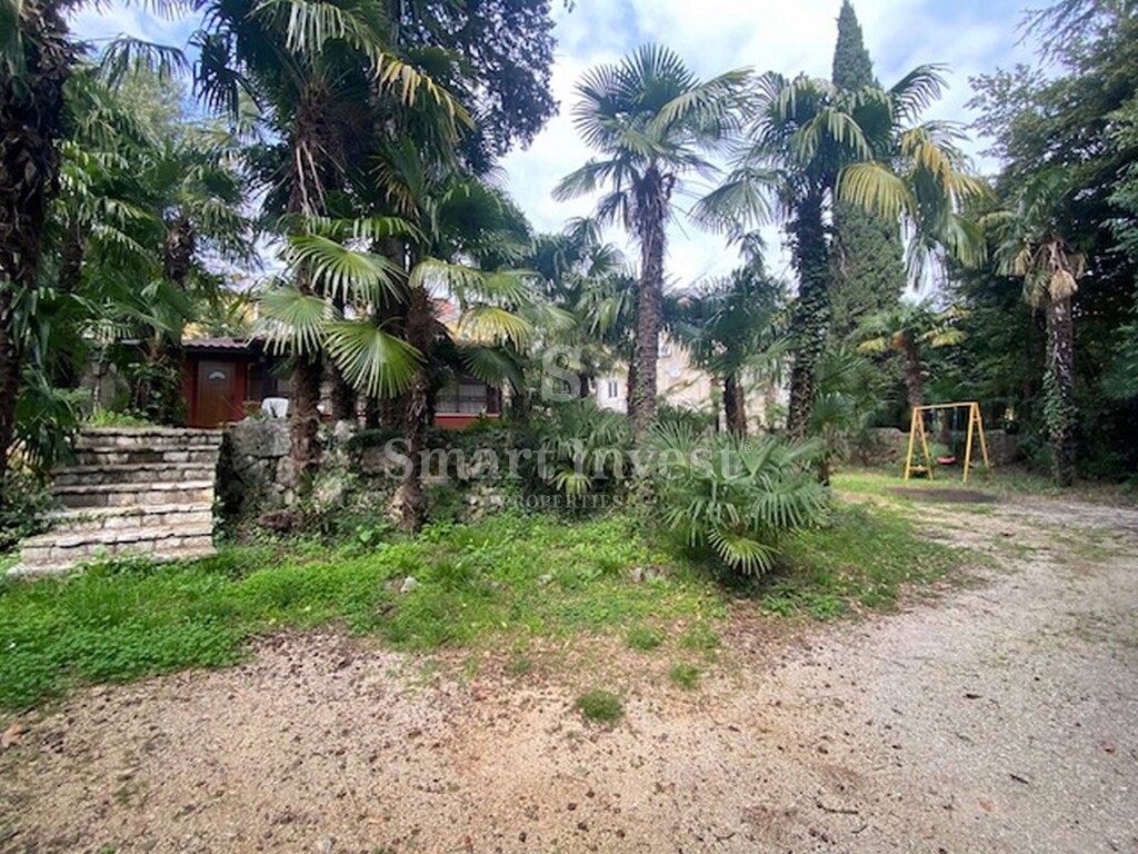 Image 6358078 - 1