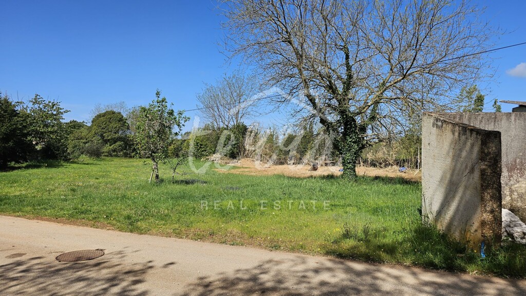 Image 6358083 - 3