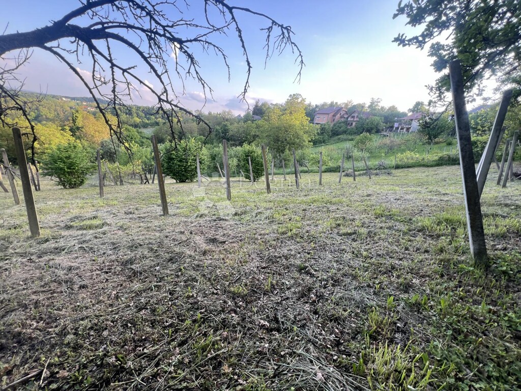 Image 6358117 - 11