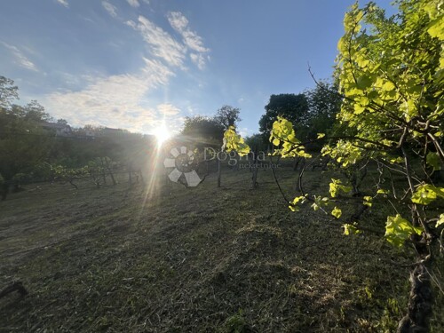 Thumbnail 6358117 - 3