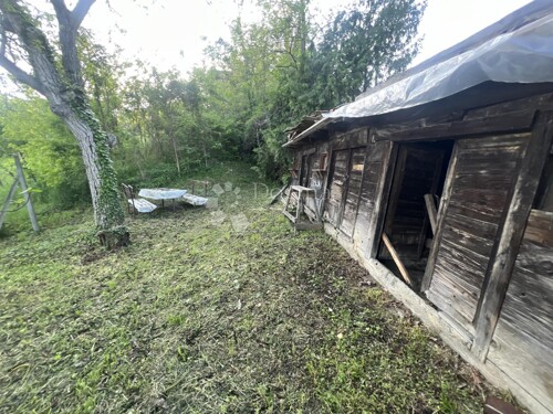 Thumbnail 6358117 - 5