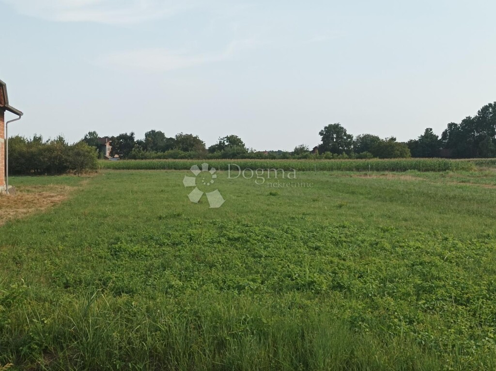 Image 6358128 - 4