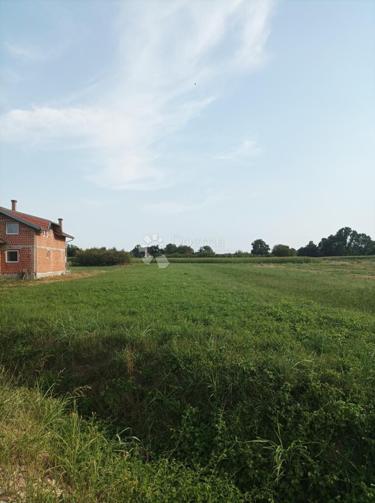 Image 6358128 - 1