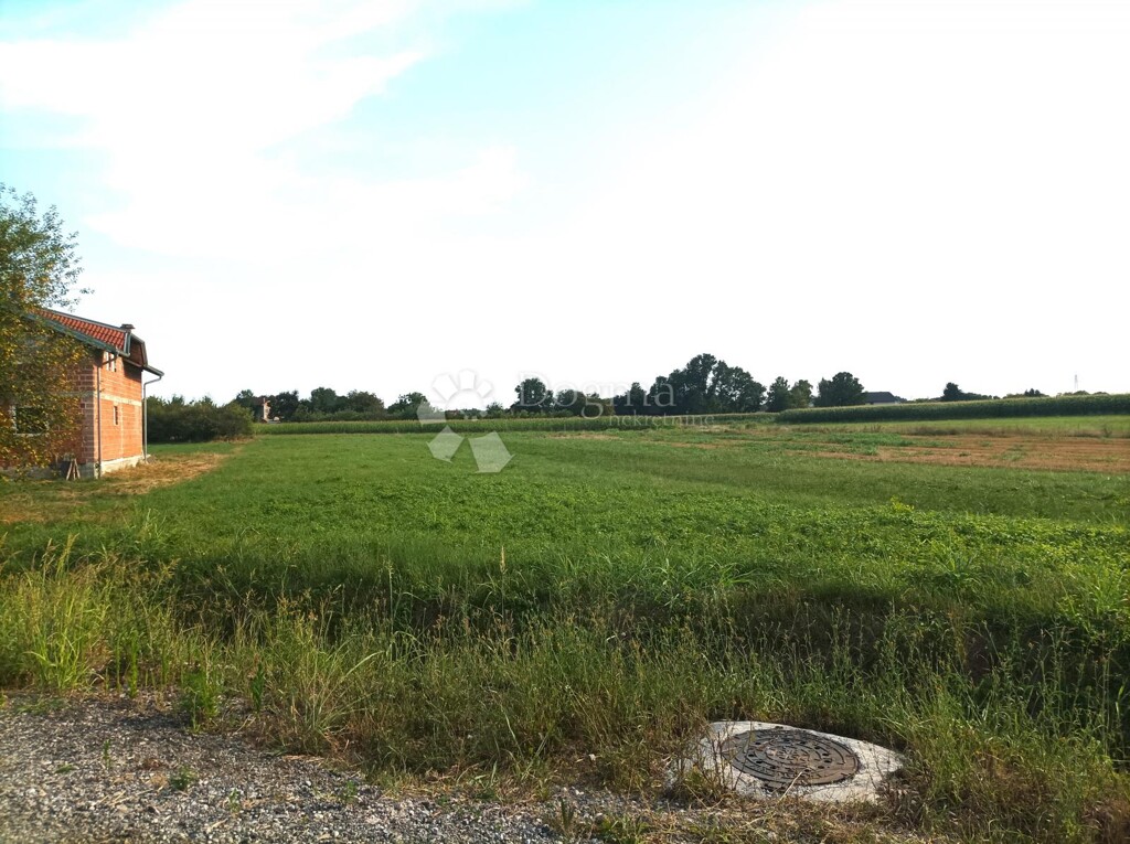 Image 6358128 - 2