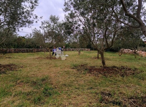 Thumbnail 6358130 - 10