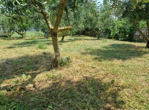 Thumbnail 6358130 - 3