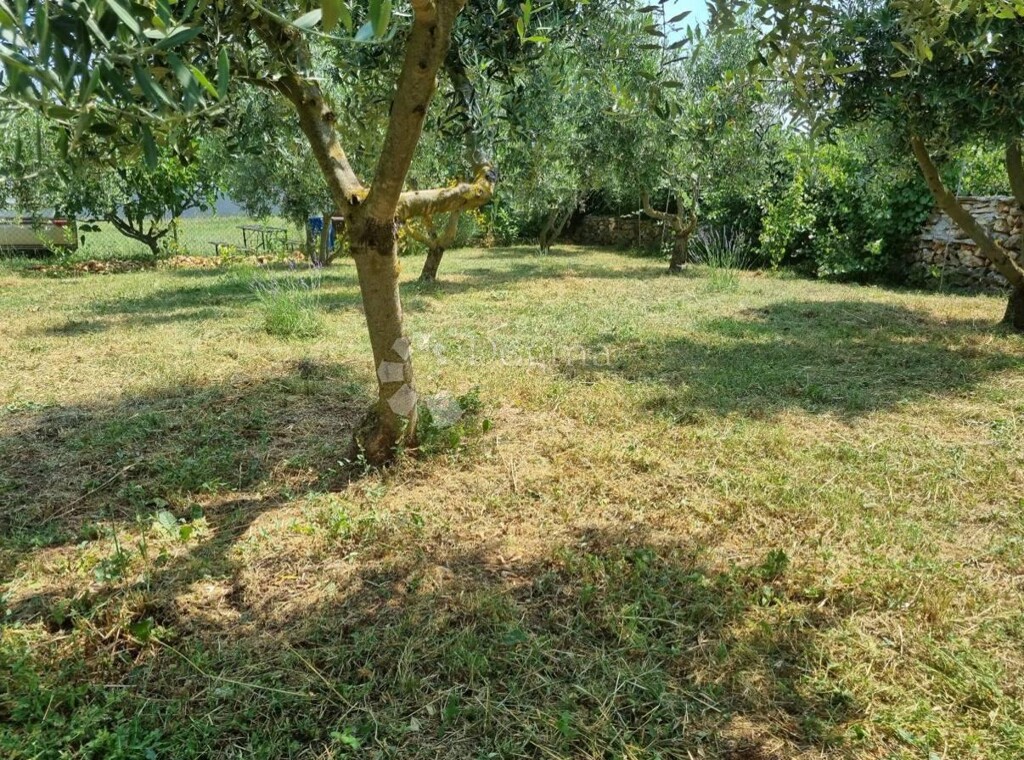 Image 6358130 - 3