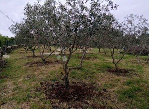 Thumbnail 6358130 - 11