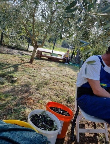 Thumbnail 6358130 - 12