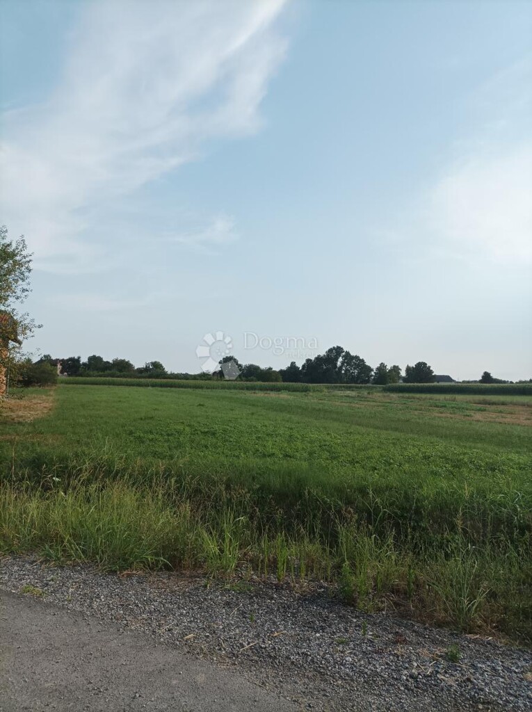 Image 6358139 - 3