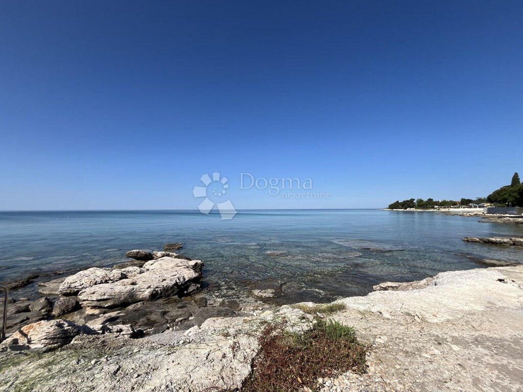Image 6358144 - 1