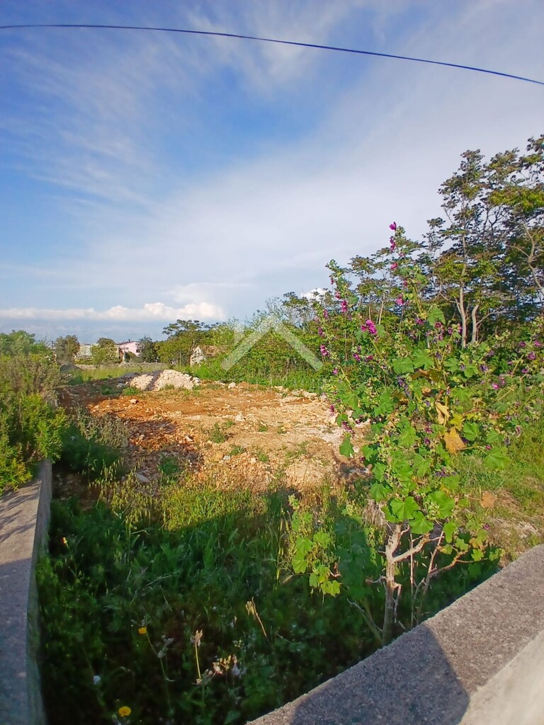 Image 6358148 - 1