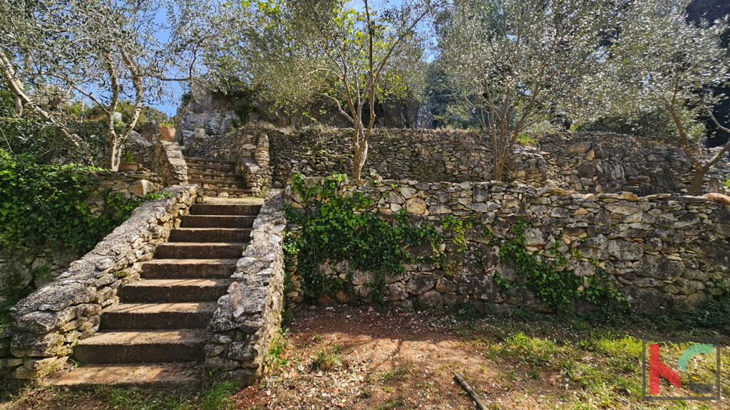 Image 6358161 - 6