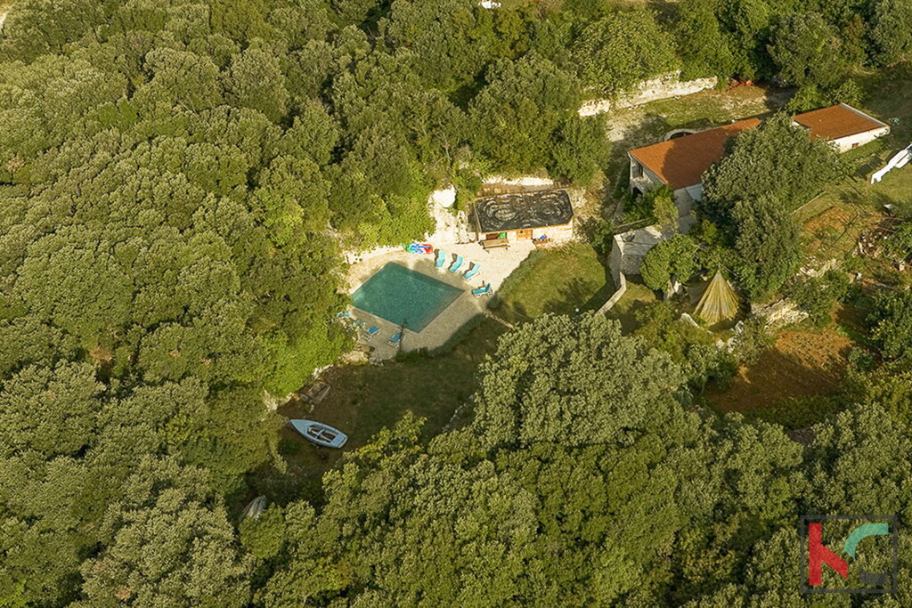 Image 6358161 - 1