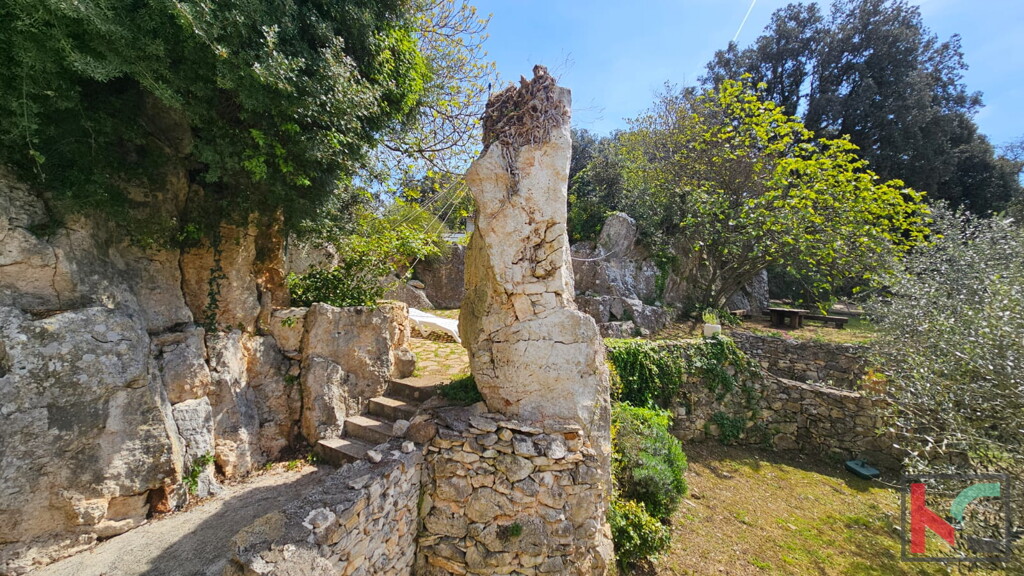 Image 6358161 - 9
