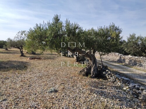 Thumbnail 6358163 - 4