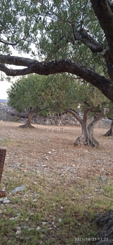 Thumbnail 6358163 - 6