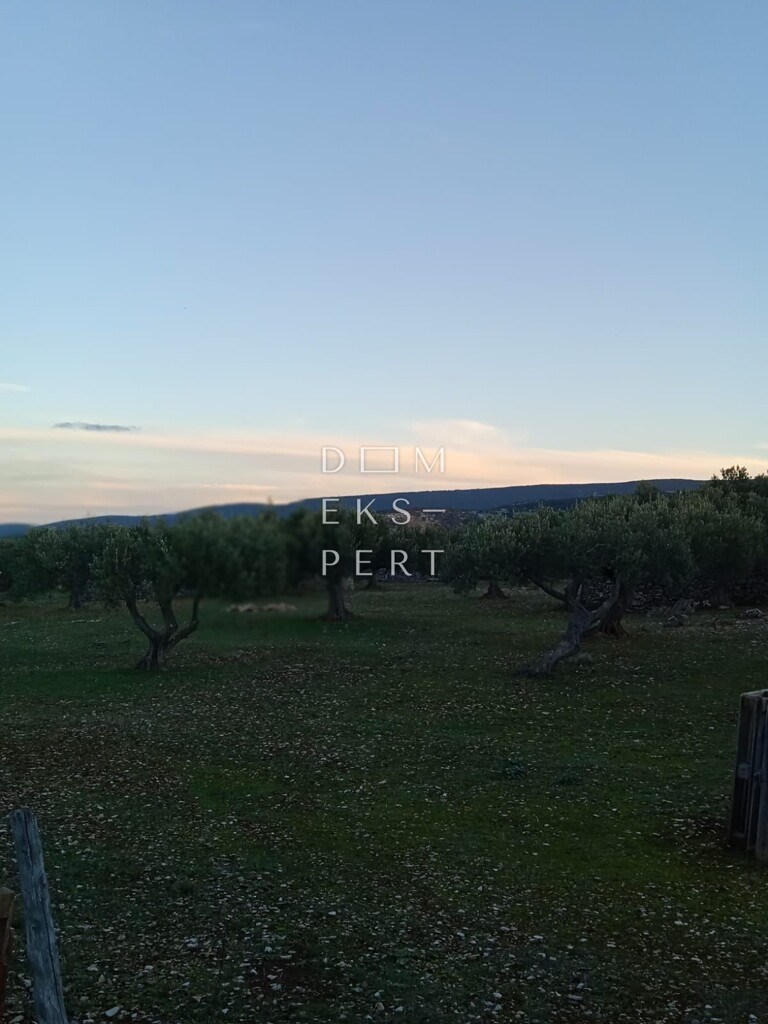 Image 6358163 - 7