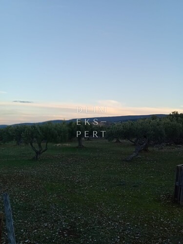 Thumbnail 6358163 - 7