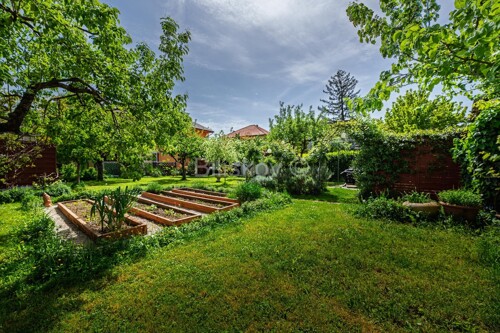 Thumbnail 6358205 - 5